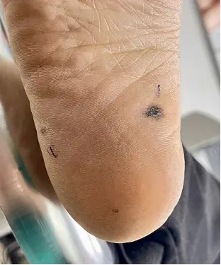 Đài PTTH Hà Nội